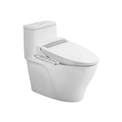 AC-989+CW-H20VN Bàn cầu kết hợp nắp rửa điện tử