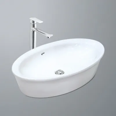 Chậu rửa inax L-300V