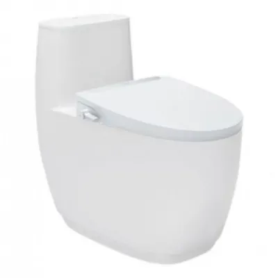 Bồn Cầu 1 Khối Nắp Rửa Cơ INAX AC-1052+CW-S32VN