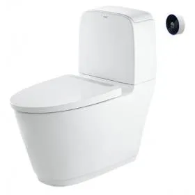 Bàn cầu 2 khối Inax ACT-832VN