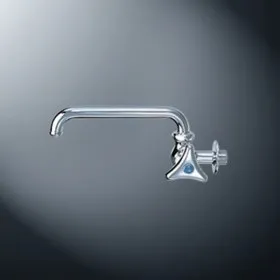 Vòi xả lạnh gắn tường inax LF-16-13