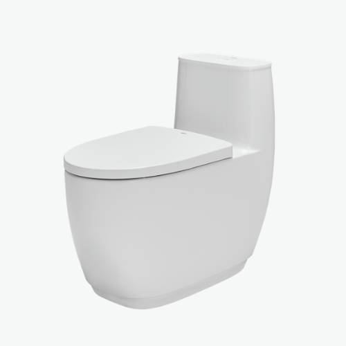 Bàn cầu một khối AC-1052VN